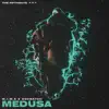 Medusa (The FifthGuys Remix) [feat. 2Scratch] - Single album lyrics, reviews, download