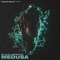 Medusa (The FifthGuys Remix) [feat. 2Scratch] - Mime & The FifthGuys lyrics