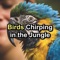 Wild Birds - Bird Sounds lyrics