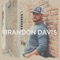 Destiny - Brandon Davis lyrics