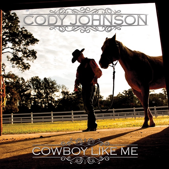 Cover artwork for Cowboy Like Me