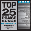 Top 25 Praise Songs Instrumental - 2012 Edition - Maranatha! Instrumental