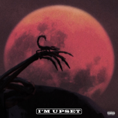 I'm Upset - Drake