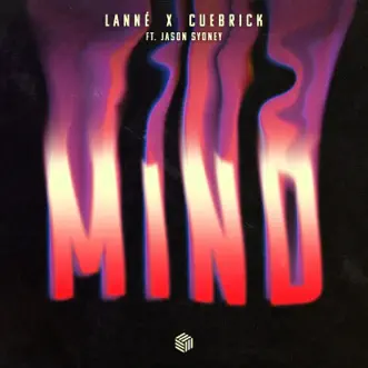 Mind (feat. Jason Sydney) by LANNÉ & Cuebrick song reviws