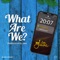 What Are We? (feat. Bella Alubo) - Dj Java lyrics