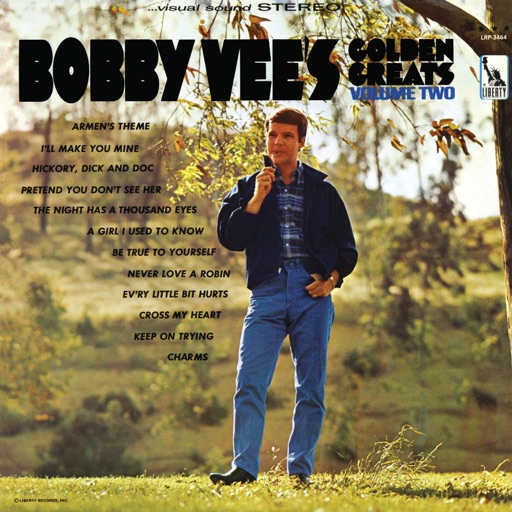 Art for be true to yourself by Bobby Vee