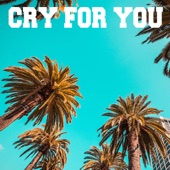 Cry For You (feat. September) [Nide Remix] artwork