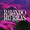 Rulando Hierbas song lyrics