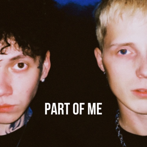 cover for track Part of me of artist Call Me Karizma, Три дня дождя