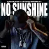 No Sunshine - Single album lyrics, reviews, download