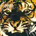 Eye of the Tiger song reviews