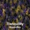 Aversion - Goodvibra lyrics