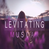 Levitating (Instrumental Version) artwork