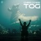 Tog - Chris Cowie lyrics