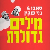 מילים גדולות artwork