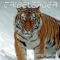 Dragon Tales - Tribeleader lyrics