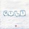 COLD (feat. YNL Trapbaby) - NFS G Rose lyrics