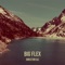 Big Flex - Director Ali lyrics