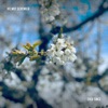 Helmut Schenker - Ever Since