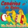 Tão Pedindo Vaneirão, Vol. 01, 2009