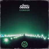 Condor artwork