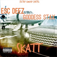 Skatt (feat. Goddess Stax) - Single en Streaming