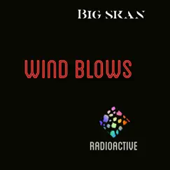 Wind Blows - Single by Big skan album reviews, ratings, credits