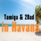 In Havana (feat. 2Bad) - Tamiga lyrics