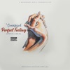 Perfect Feeling (Stop It, I Like It) - Single