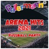 Ballermann Arena Hits 2021: Fussball Party