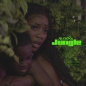 Jungle artwork