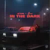 In the Dark - Single album lyrics, reviews, download