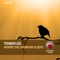 Where the Sparrow Sleeps - Tenerfuse lyrics