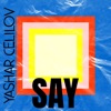 Say - Single