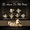 El Amor De Mi Vida - Single album lyrics, reviews, download