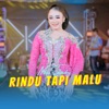 Rindu Tapi Malu - Single