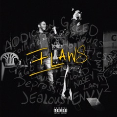 FLAWS - Single