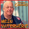 Mein Vaterherz - Single