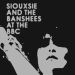 Siouxsie & The Banshees - Painted Bird
