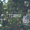 Tribo artwork