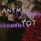 Anem a tot (feat. Lildami) - JazzWoman lyrics