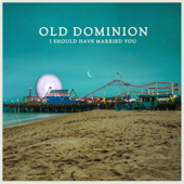 I Should Have Married You - Old Dominion song art