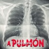 A Pulmon - Single