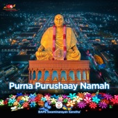 Purna Purushaay Namah artwork