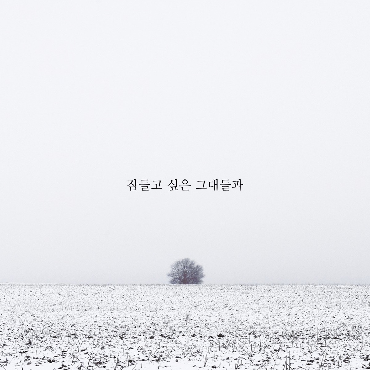 Clean cotton – 잠들고 싶은 그대들과 – Single