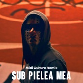 Sub pielea mea (Midi Culture Remix) artwork
