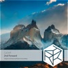 2nd Forward (Autumnal Poplar Groves Extended Remix) - Single