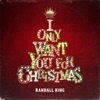 I Only Want You For Christmas - Single