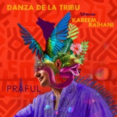 Danza de la Tribu (Kareem Raïhani Remix) artwork