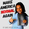 Make America Normal Again - Single album lyrics, reviews, download